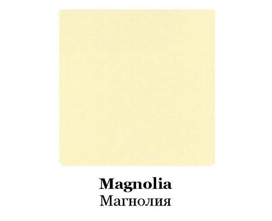 Zagotovka-2_magnoliavt3032.jpg