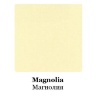 Zagotovka-2_magnoliavt3032.jpg