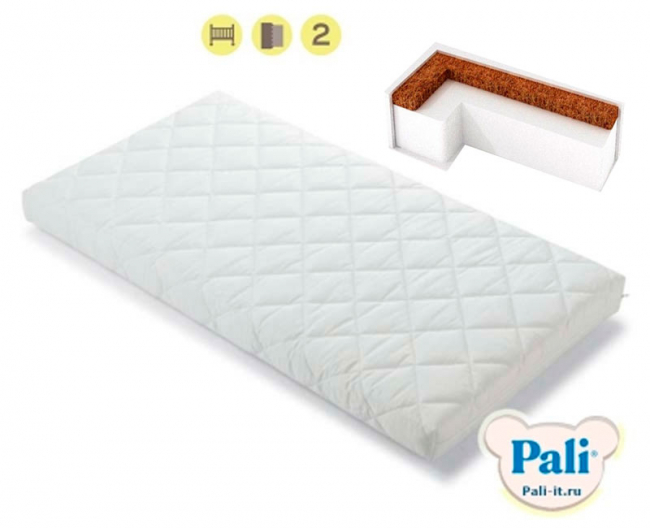 evolution_cocos.jpg evolution_cocos.jpg