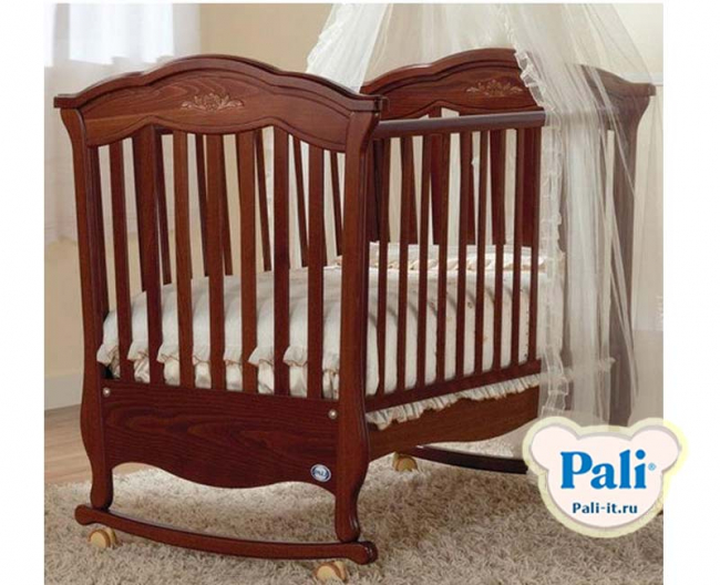 iris_oreh.jpg iris_oreh.jpg